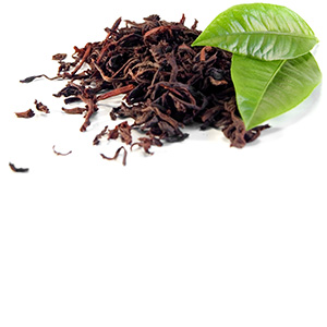 Black Tea Herbasol® Extract Glycerine unpreserved
